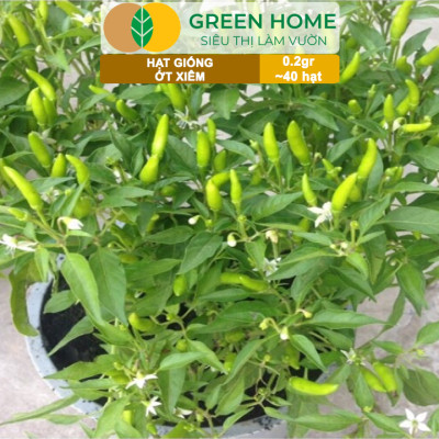 Hạt Giống Ớt Xiêm Greenhome, Gói 0,2gr, Dễ Trồng, Sai Trái, Siêu Cay G09