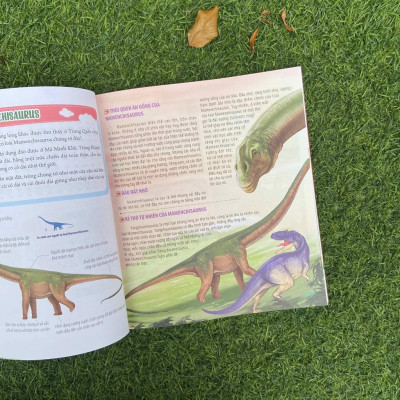 Sách: Combo 4 cuốn Bách Khoa Động Vật Dành Cho Trẻ Nhỏ: Thú Cưng + Côn Trùng + Khủng Long + Động Vật Tiền Sử - TSTH