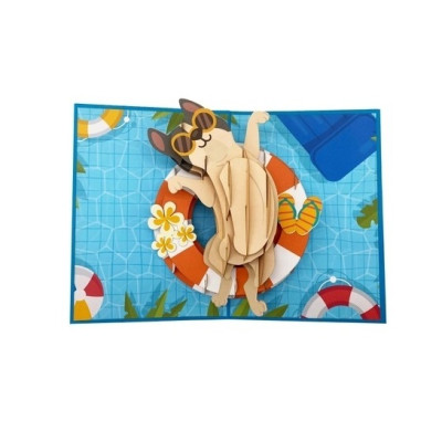 Thiệp 3D Mèo Dễ Thương Đi Bơi – Thiệp Pop Up Hài Hước, Độc Đáo, Tặng Sinh Nhật, Bạn Bè, Trẻ Em, A44