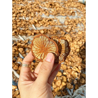 Hồng đằng khô đóng túi 1kg