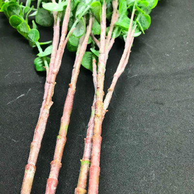 Cành lá điểm silic - dài 60cm - Cây giả, hoa lụa trang trí nhà cửa