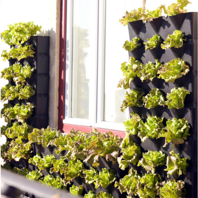 Khung Trồng Rau Đứng ban Công Minigarden Vertical Nhập Khẩu, Phong Cách Châu Âu (1m2 gồm 8 moduel Vertical,1 khay hứng nước) Chất liệu nhựa PP chống UV. Có Kèm Dây Tưới Nhỏ giọt tự động 100% với năng suất rau đạt gấp 3 lần bình thường