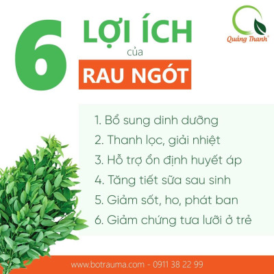 [CHÍNH HÃNG] Bột Rau Ngót Sấy Lạnh Nguyên Chất  - Tốt cho sức khỏe, bổ dưỡng, thanh nhiệt đào thải độc tố - Hộp 30g