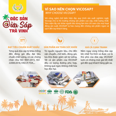 Kẹo dừa sáp VICOSAP mix 6 vị nguyên chất lá dứa cacao kẹo mềm dẻo ít đường đặc sản Trà Vinh