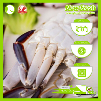 Ghẹ Cắt Xuất Khẩu - Túi 1Kg (16-20 Miếng)