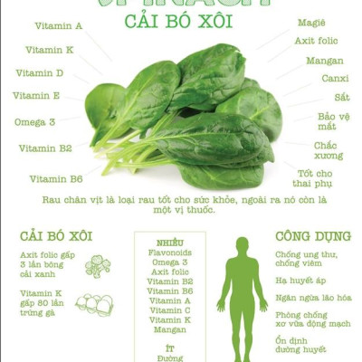 Bột cải bó xôi hữu cơ nguyên chất sấy lạnh Dalahouse - Mẫu mới 2022 Hộp 120gr tiết kiệm - Nguồn Vitamin K,A,C, sắt, magie & Mangan cao giúp xương chắc khỏe, hỗ trợ tiêu hóa và hỗ trợ thị lực _ ThuDươngShop Chờ duyệt tự động