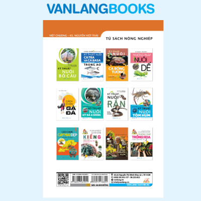 Thú Chơi Mai Của Người Xưa - Vanlangbooks