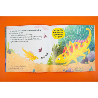 Sách - Cầu Vồng Cảm Xúc 4 Tập - Đinh Tị Books