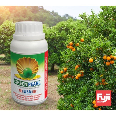 Phân bón Kẽm Mg Green Pearl 250ml USA