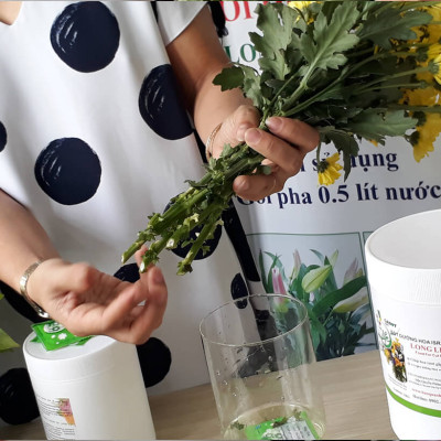 Hủ 1KG Bột Dinh Dưỡng Hoa Lâu Tàn dành cho Shop Hoa, Vựa Hoa hiệu Longlife SG nhập khẩu Israel, giúp bảo quản hoa cắm MUD tươi gấp 2 lần bình thường và Hạn chế thay hoa định kỳ