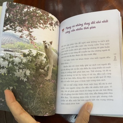 NHÀ SƯ DỌN PHÂN CHÓ - Jinyeop – Vương Thuý Quỳnh Anh dịch – Thái Hà – NXB Lao Động 