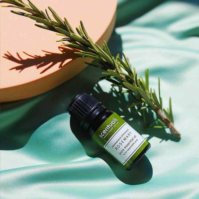 Tinh dầu hương thảo - Pure essential oil 10 ml rosmarinus officinalis - ROSEMARY