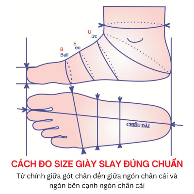 Giày đế cao SLAY BY MLEE, Sneaker Chunky All - White, Hàng chính hãng cao cấp