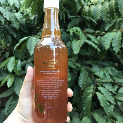 Mật ong Golden honey hỗ trợ tăng sức đề kháng, giảm ho, viên họng, dưỡng ẩm da và môi cang bóng mịn màng, dùng nấu ăn - QuaTangMe Extaste