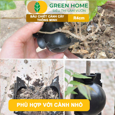 Bầu Chiết Cành GreenHome, R4cm(1 Thùng 200 CÁI), Tăng Khả Năng Ra Rễ, Phù Hợp Với Hoa Hồng, Bonsai