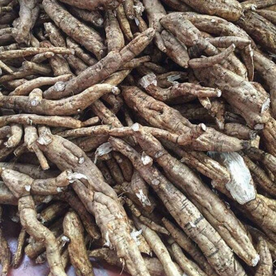 BỘT SẮN DÂY TA NGUYÊN CHẤT MẸ KEN GÓI 500GR - mát gan, thanh nhiệt 