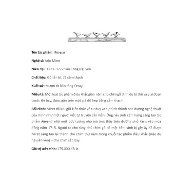 Lời Nguyền Của Màn Đêm