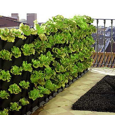 Khung Trồng Rau Đứng ban Công Minigarden Vertical Nhập Khẩu, Phong Cách Châu Âu (1m2 gồm 8 moduel Vertical,1 khay hứng nước) Chất liệu nhựa PP chống UV. Có Kèm Dây Tưới Nhỏ giọt tự động 100% với năng suất rau đạt gấp 3 lần bình thường