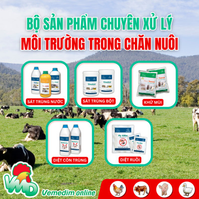 AMOXI 20% LA Thuốc tiêm đặc trị viêm phổi, viêm vú, viêm tử cung, tiết niệu, tác động kéo dài 48h dùng cho chó, mèo, Chai 100ml, sản phẩm Vemedim