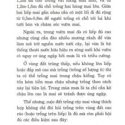 Trồng Mai - Kỹ Thuật Bón Tưới, Phòng Trừ Sâu Rầy, Bệnh Hại