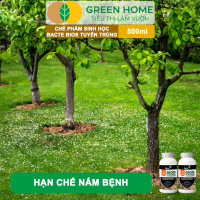 Chế Phẩm Sinh Học Bacte Bios Tuyến Trùng, Green Home, Chai 500ml, Từ Thảo Mộc, Hiệu Lực Nhanh Mạnh