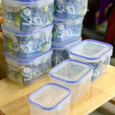 Bộ 3 Hộp Đựng Thực Phẩm Cao Cấp Trong Tủ Lạnh Nắp Đậy Kín Khít, An Toàn Cho Sức Khỏe