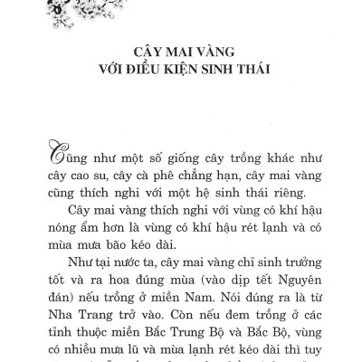 Trồng Mai - Kỹ Thuật Bón Tưới, Phòng Trừ Sâu Rầy, Bệnh Hại