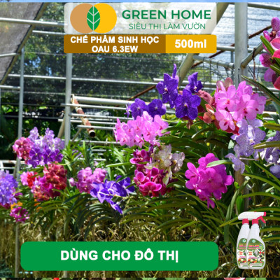 Chế Phẩm Sinh Học OAU 6.3EW GreenHome, Chai 500Ml, Thảo Mộc, Đặc Trị Rệp, Rầy, Bọ Trĩ Cho Cây Và Hoa