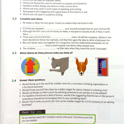 English Idioms In Use Advanced Book With Answers (Vocabulary In Use)