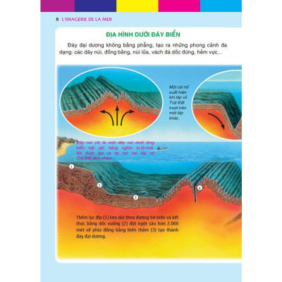 Sách - Thế Giới Biển Huyền Diệu - Bìa Cứng - Minh Thắng