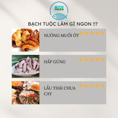 Bạch tuộc nguyên con (size 2-3 con/kg)