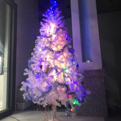 Cây thông noel màu trắng  - Cây thông noel đẹp - Tán dày và đều, cây thông chắc chắn, dể tháo lắp