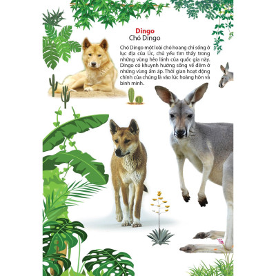 Sách - Động Vật Ở Châu Úc - Chính Thông Book