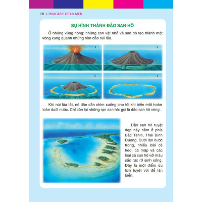 Sách - Thế Giới Biển Huyền Diệu - Bìa Cứng - Minh Thắng