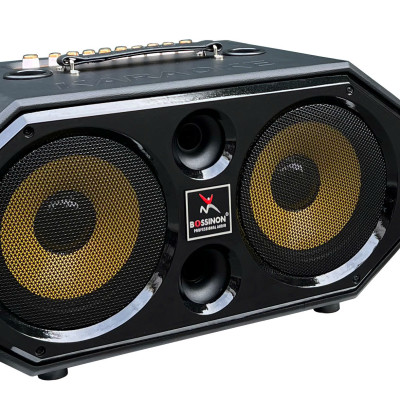Loa kéo hát karaoke xách tay thương hiệu Bossinon N2292K- công suất 600W- Hàng chính Hãng