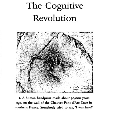 Sapiens : A Brief History Of Humankind