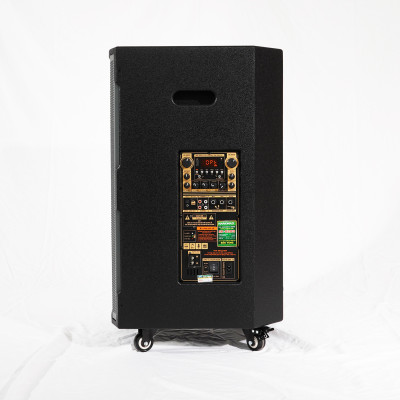 Loa Kéo Công Suất Lớn Nanomax SK-0209 Bass 4 Tấc 40cm Công Suất 650w Karaoke Bluetooth Hàng Chính Hãng