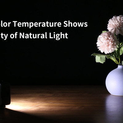 ULANZI VL49 (5500K) - HÀNG CHÍNH HÃNG - Đèn Led tích hợp pin Lithium 2000mAh