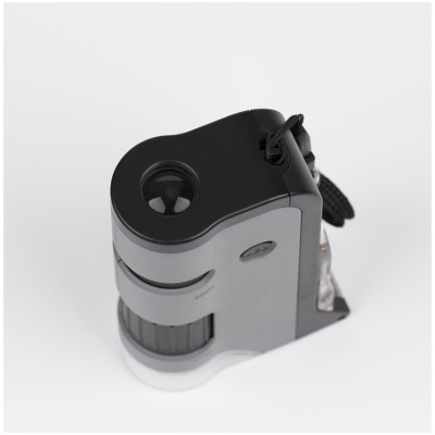 Kính Hiển Vi Carson MicroFlip MP-250 100x-250x Cao Cấp - Hàng Nhập Khẩu