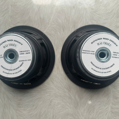 CỦ LOA BASS RỜI 16 HÀNG CHÍNH HÃNG HẢI TRIỀU COIL 38 TỪ 100 MÀN ĐEN (GIÁ 1 CÁI)