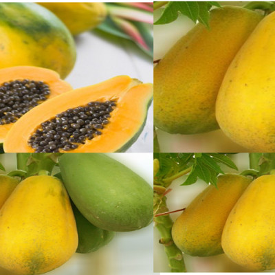 [Chỉ Giao HCM] Đu Đủ Ruột Vàng - 10KG