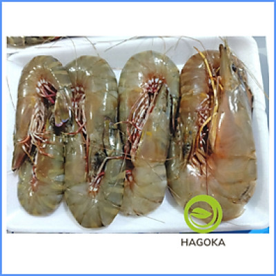 [Chỉ giao HCM] 500gr TÔM THẺ BIỂN (loại 15 con trở lên)