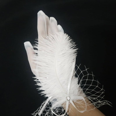 Găng tay trong suốt đính lông vũ, ngọc trai và ren lưới cho Cô dâu và Dạ hội, đi tiệc, sự kiện, lễ hội, chụp ảnh MS: 43750