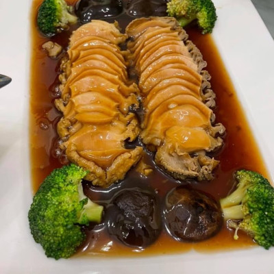 BÀO NGƯ HÀN QUỐC SỐNG BƠI HỒ (1 CON)