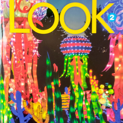 Look 2: Workbook With Online Practice