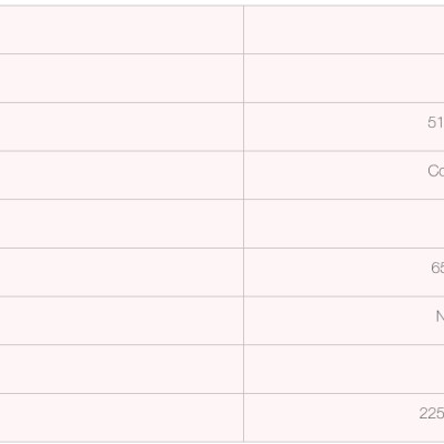 Loa rời 2 tấc từ Neo 8NDL51 B&C Speaker Italia - Hàng Chính Hãng