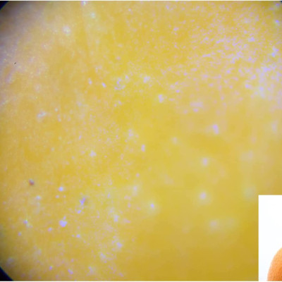 Quà Tặng Trị Giá 119K - Kính hiển vi mini cho trẻ em zoom 120x Do Nature Carson STV - 120M - Microscope Do.Nature STV-120M 60x-120x Zoom, Equipped with LED Light, Handheld and Small Design - Hàng Chính Hãng