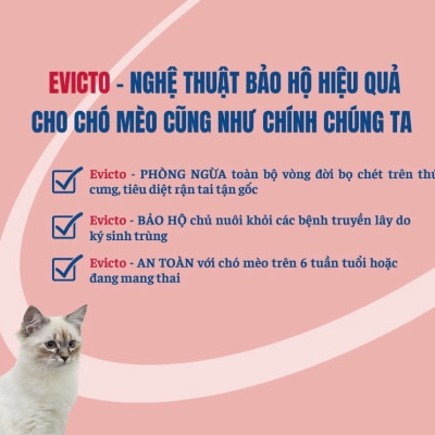 Virbac Evicto phòng bọ chét, rận tai, giun chó mèo (sản xuất tại Pháp)