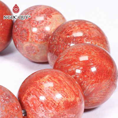 Vòng tay đá san hô hóa thạch size hạt 20mm mênh hỏa, thổ - Ngọc Quý Gemstones
