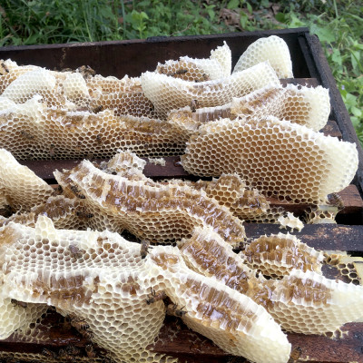 Sáp Ong Nguyên Chất 200g : Làm nến thơm, Làm Son dưỡng môi, giữ ẩm da, vật liệu làm bánh